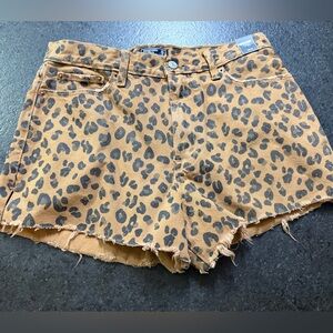 Abercrombie & Fitch Annie High Rise shorts Sz 29/8
Leopard Print